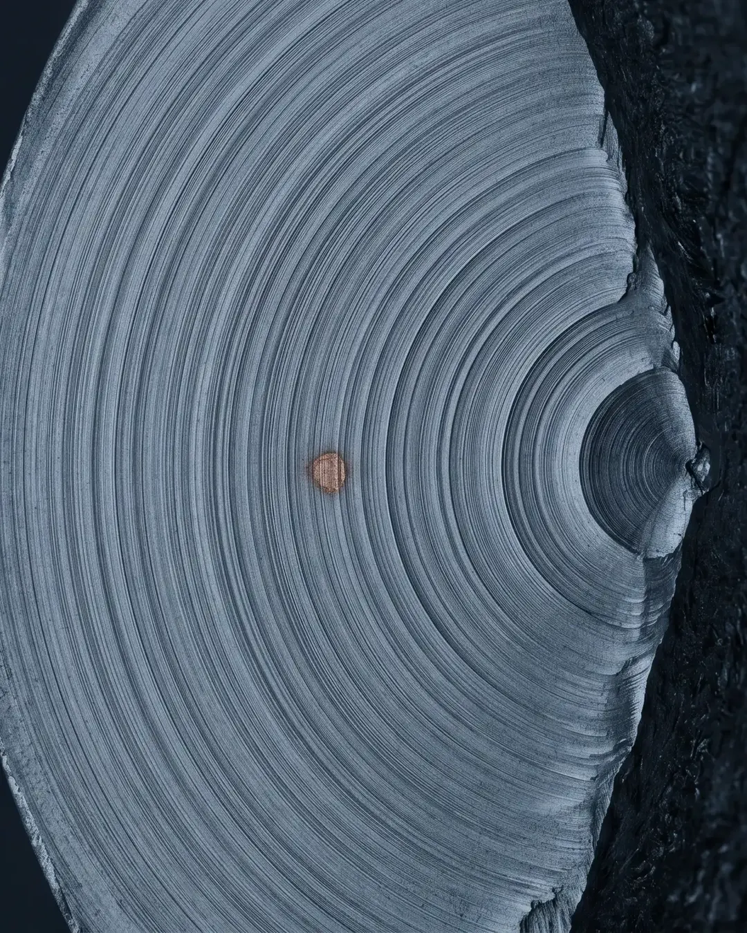 A fatigue fracture surface showing concentric beach marks in cold monochrome