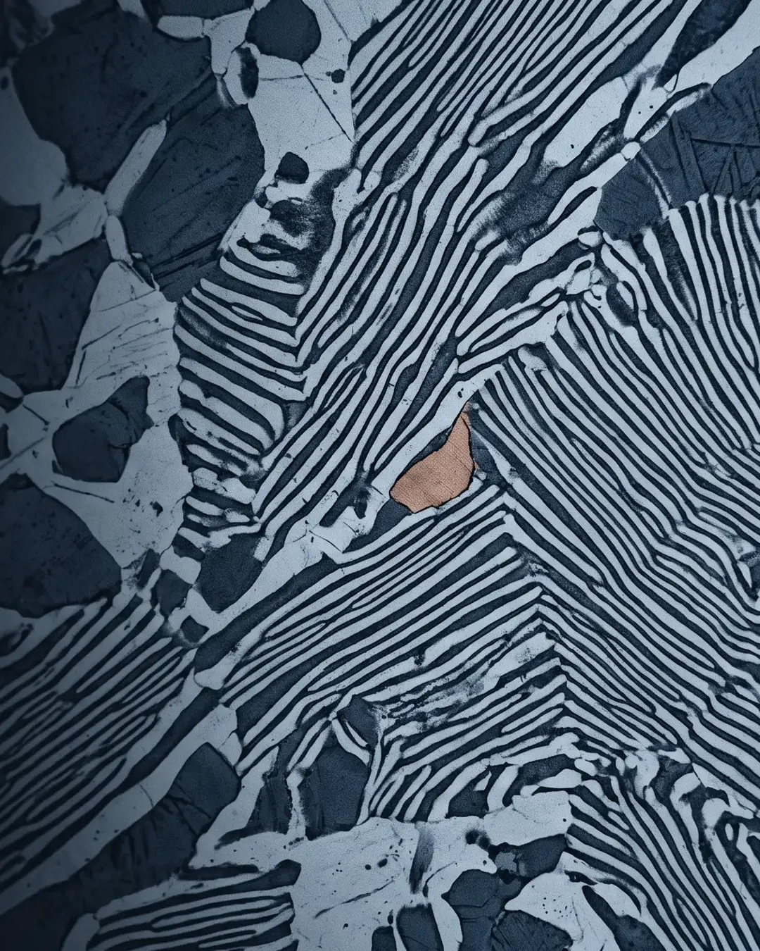 A pearlitic microstructure at high magnification, monochrome cold-blue field of lamellar plates and ferrite islands