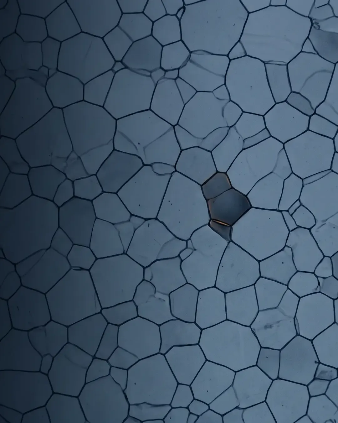 A cold-blue etched micrograph of equiaxed grains and their boundaries