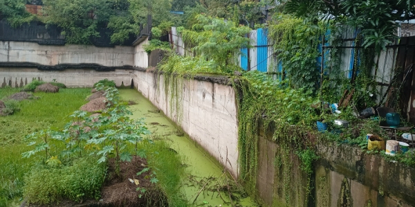 Structural Testing of Existing Retaining Wall and Raft for Future Expansion: TCR's Comprehensive Site Assessment Approach